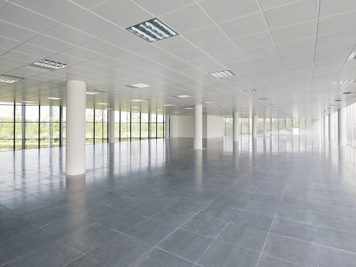 Planta de oficinas diáfana y vacía, con pilares blancos y ventanales corridos